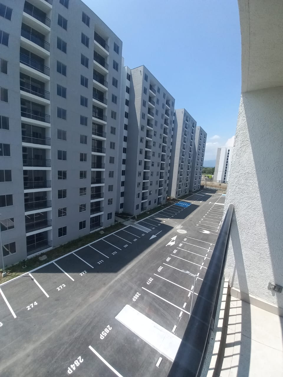 Sauko - Foto 2