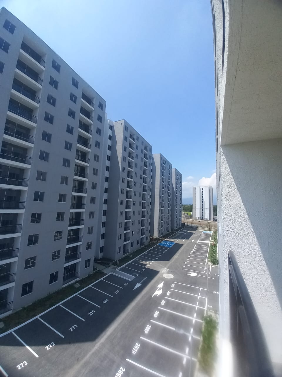 Sauko - Foto 3